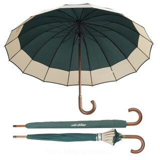 umbrella 2. picture