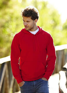 Lightweight Hooded Sweat 17. picture