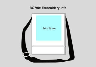 Budget Vertical Messenger Bag 2. pilt